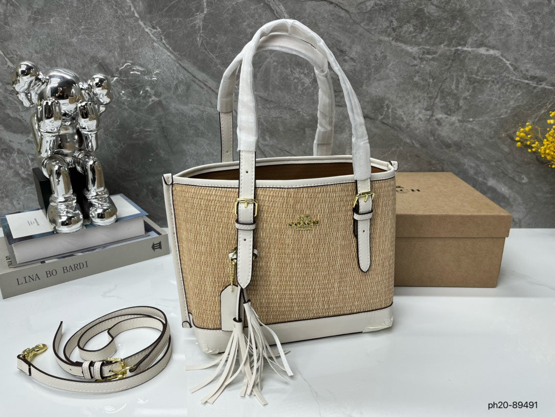 Co-BAG381