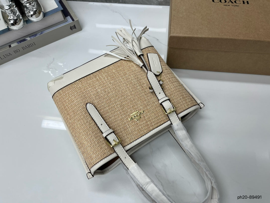 Co-BAG381