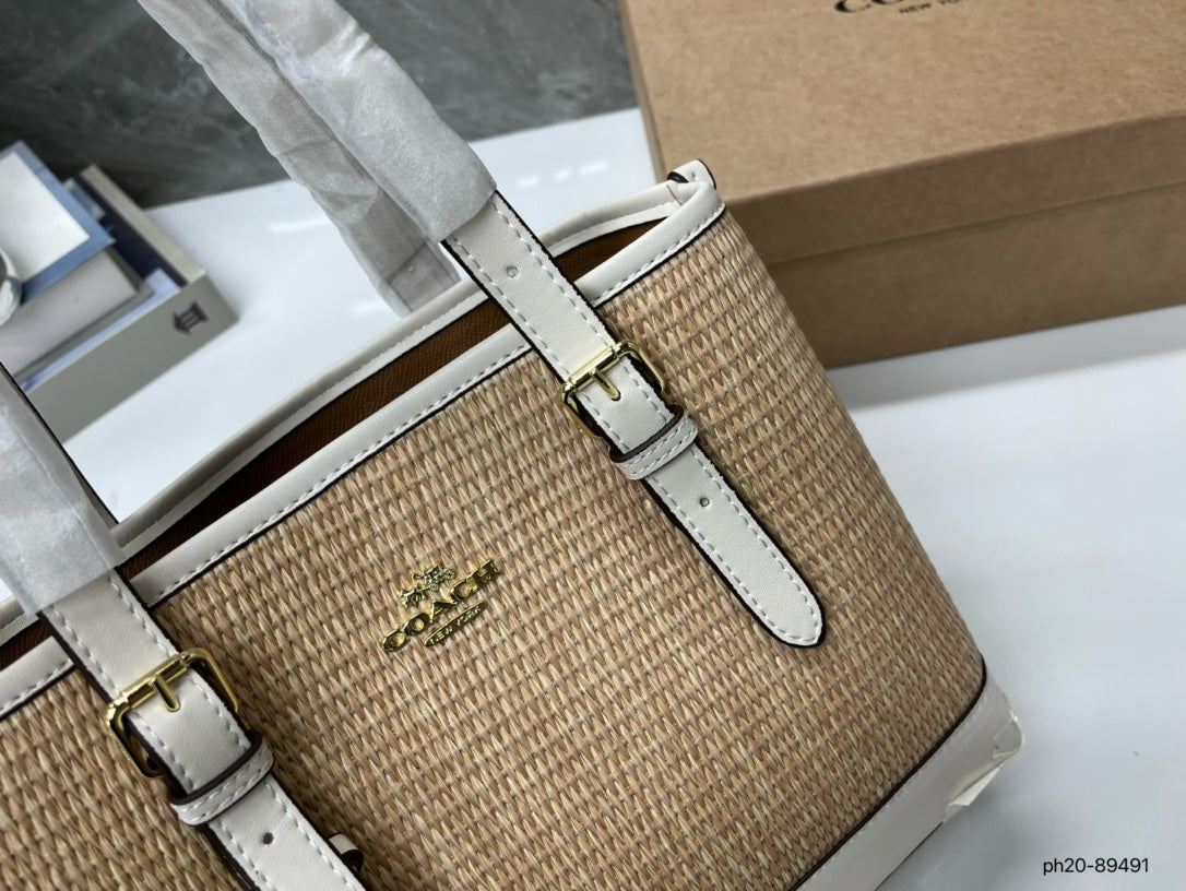 Co-BAG381