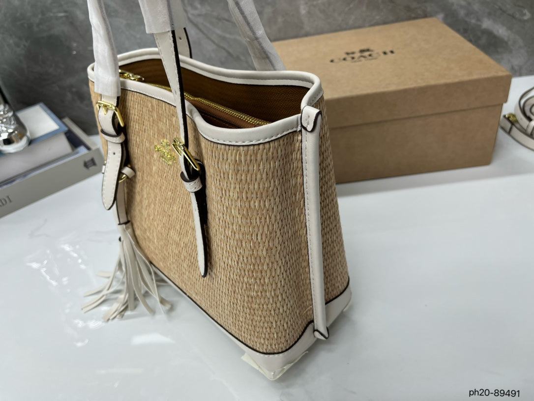 Co-BAG381