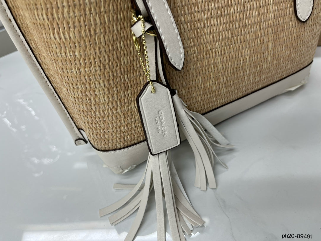 Co-BAG381
