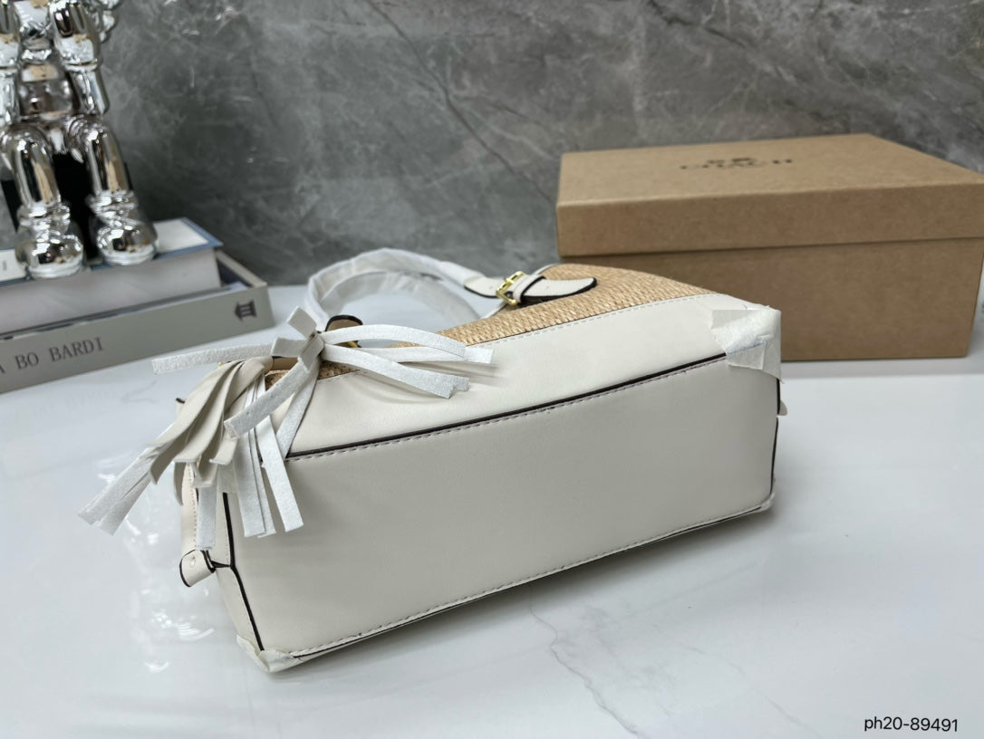 Co-BAG381