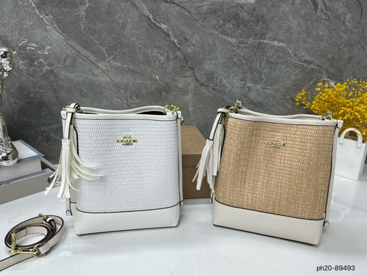 Co-BAG381-2