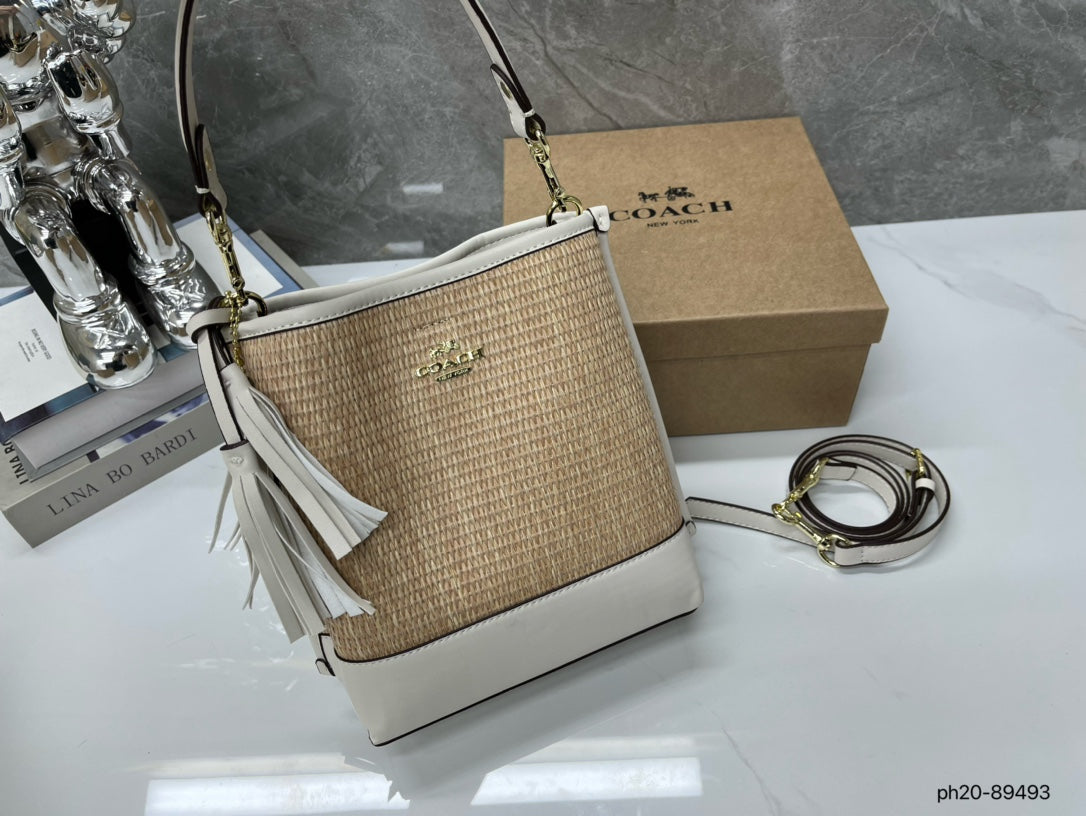 Co-BAG381-2