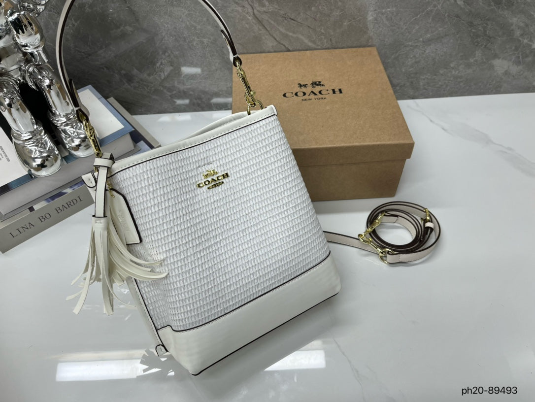 Co-BAG381-2