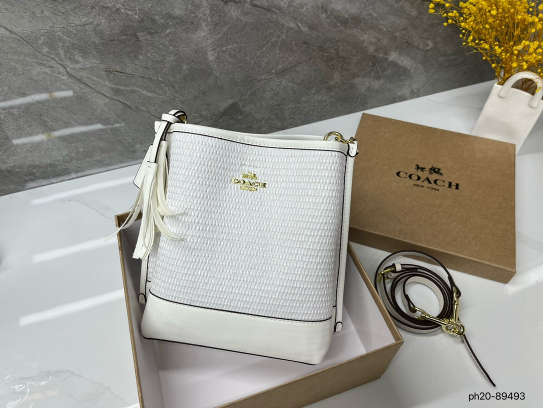 Co-BAG381-2