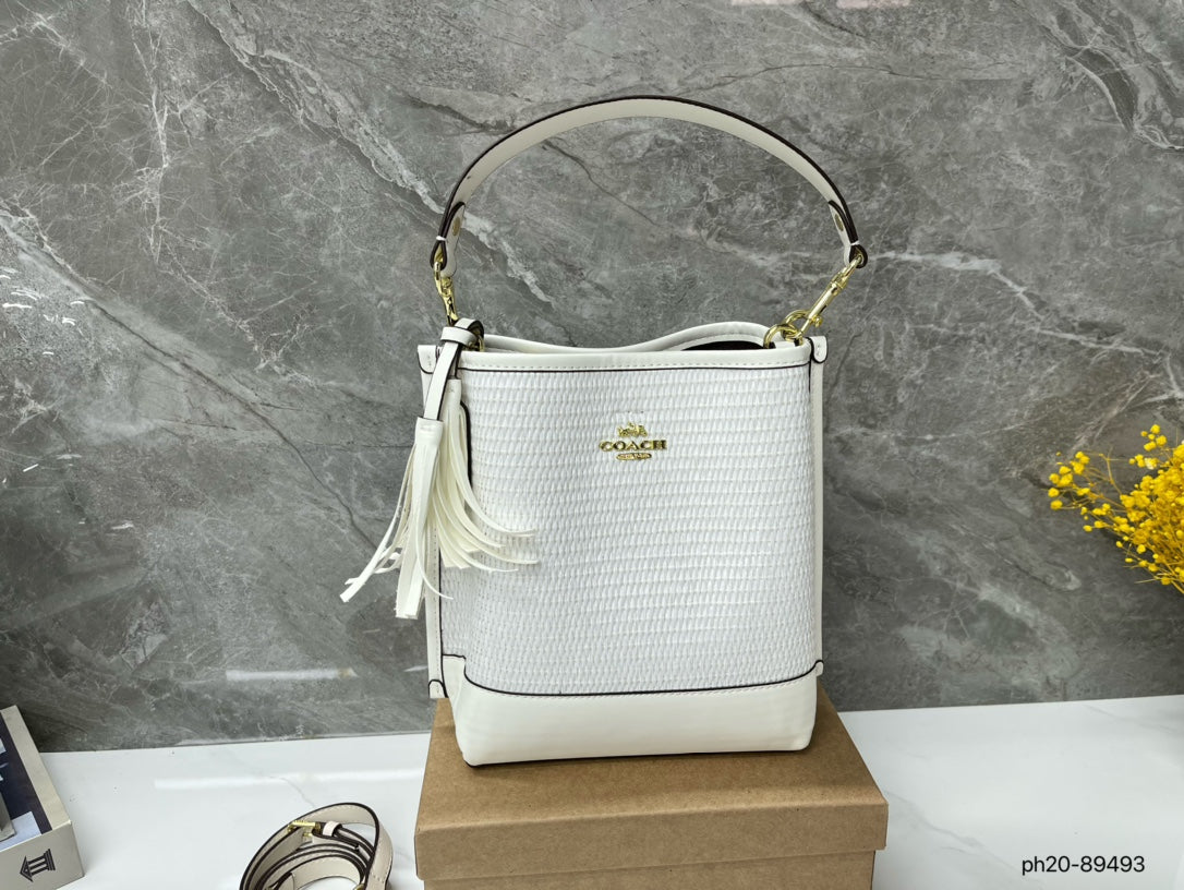 Co-BAG381-2