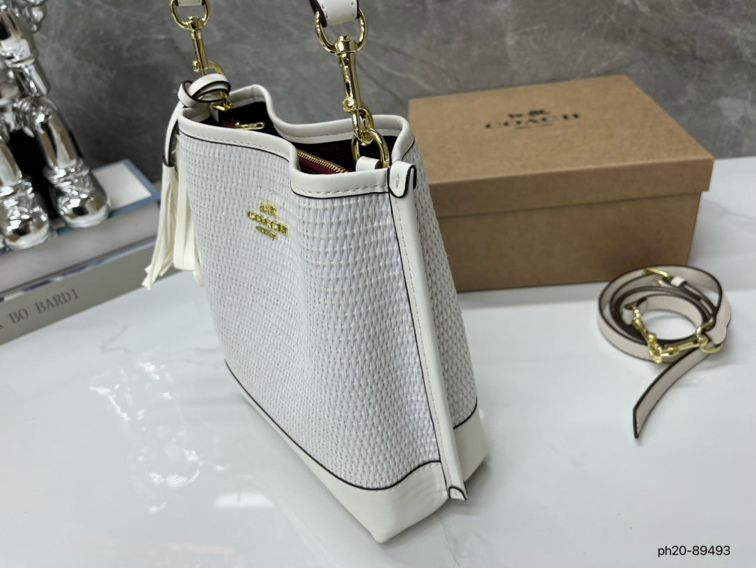Co-BAG381-2