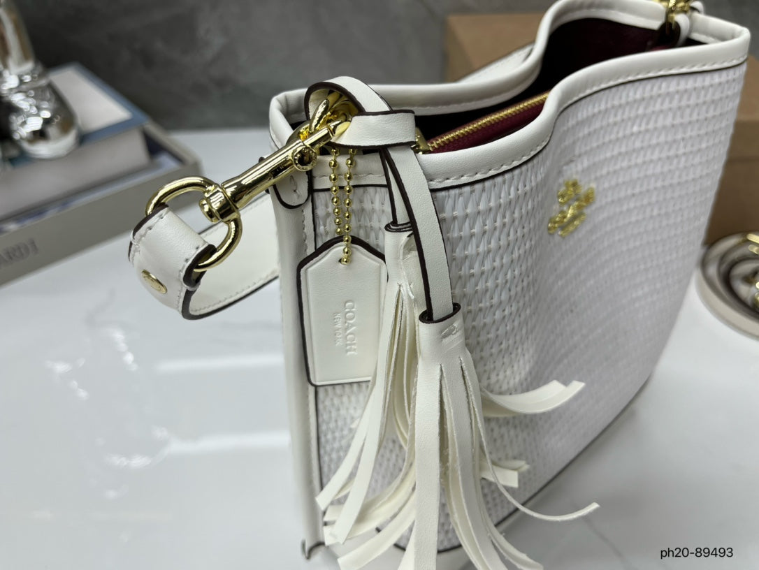 Co-BAG381-2