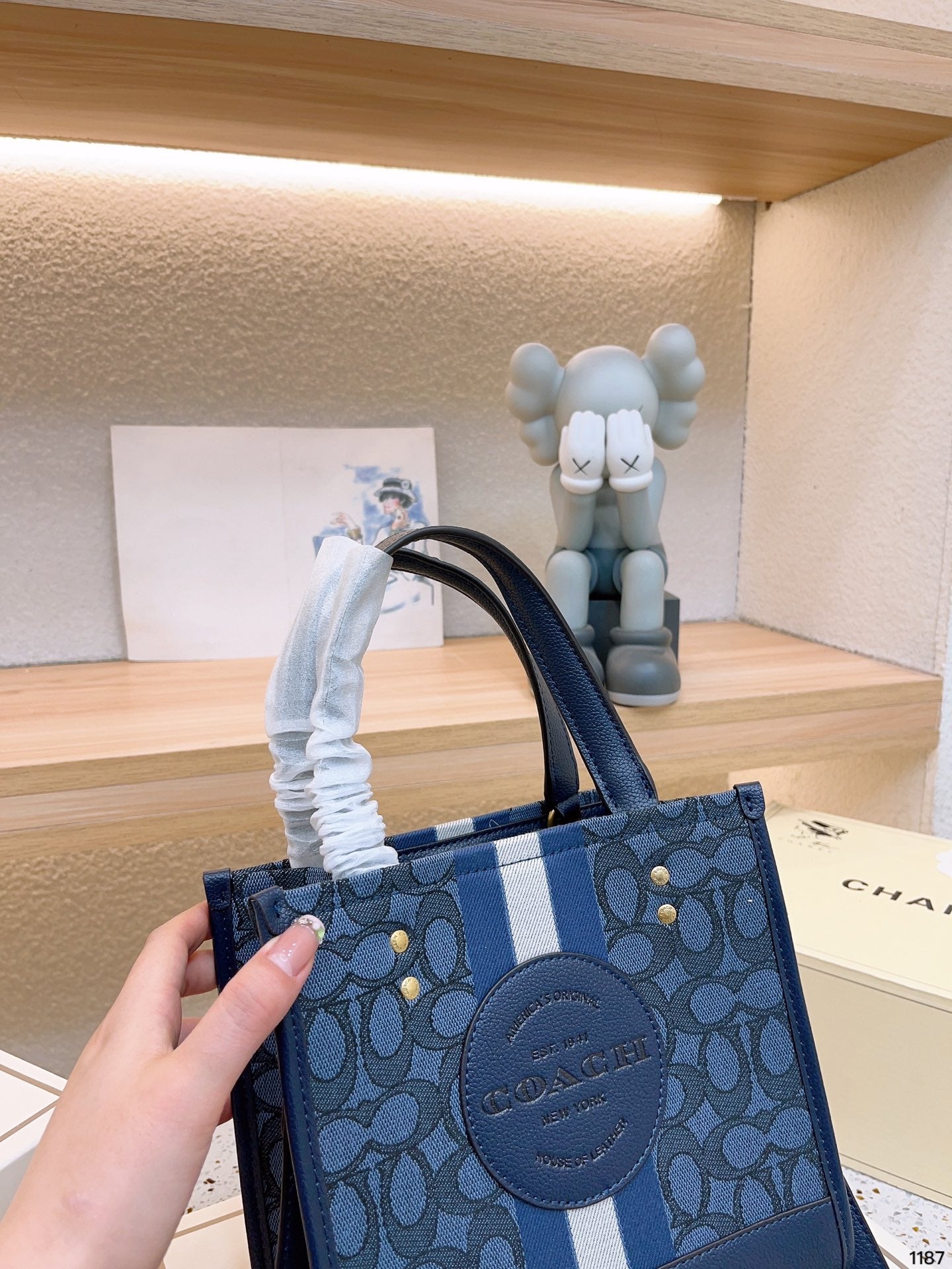 Co-BAG384