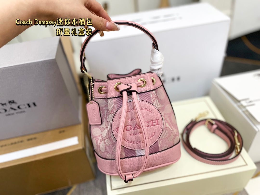 Co-BAG387