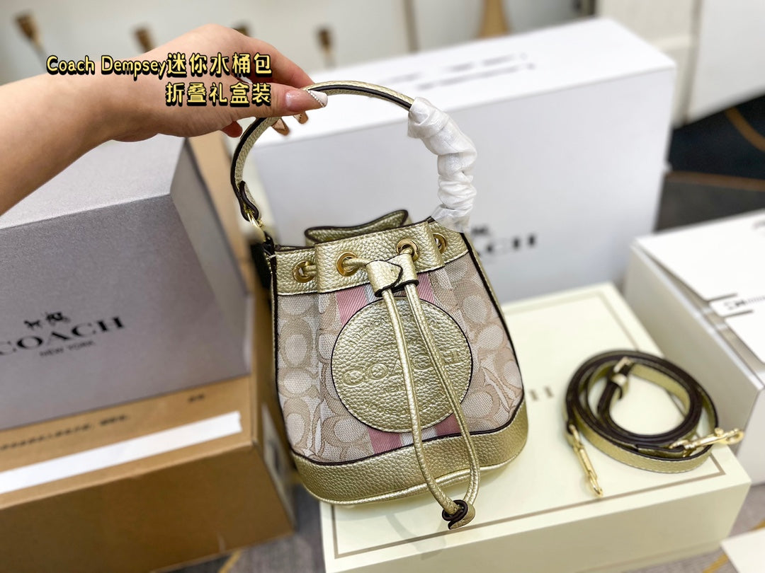 Co-BAG387