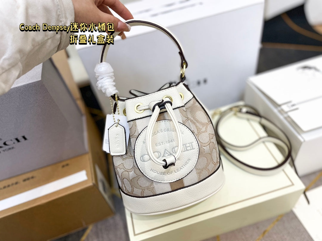 Co-BAG387
