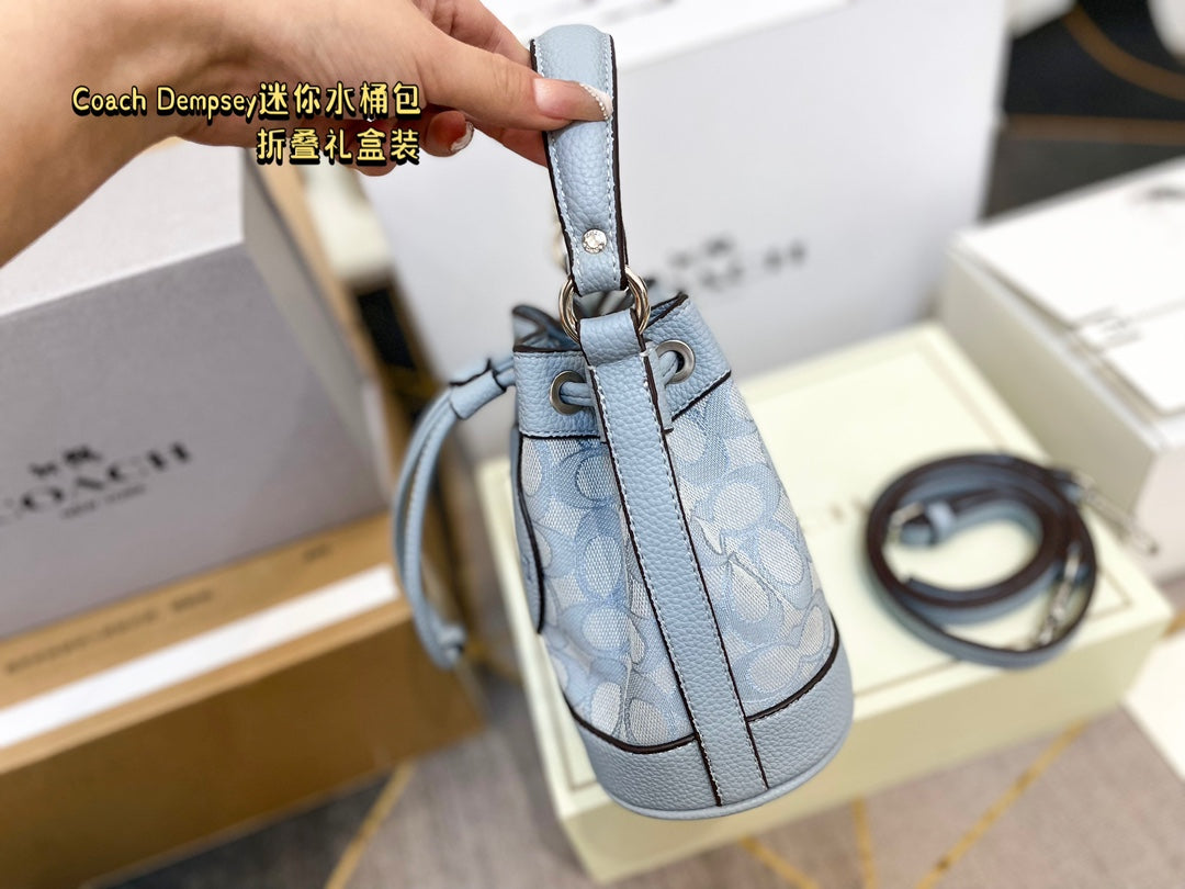 Co-BAG387