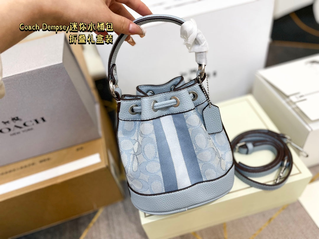 Co-BAG387