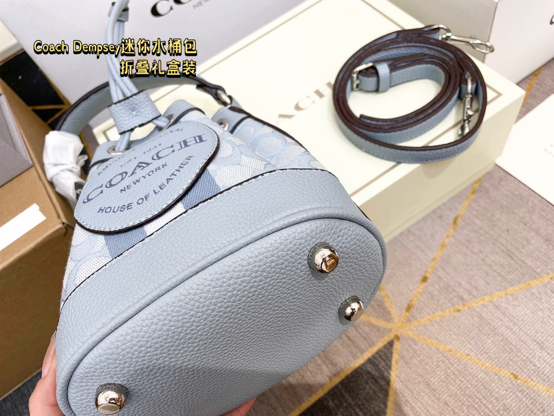 Co-BAG387