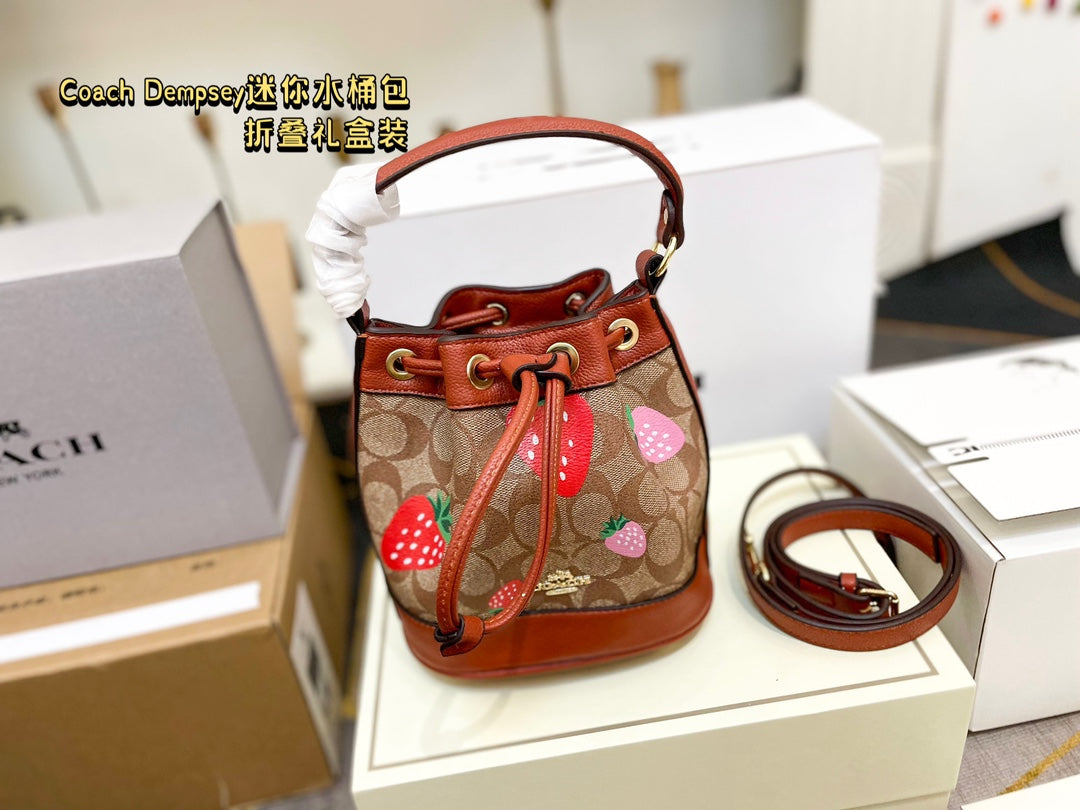 Co-BAG387-2