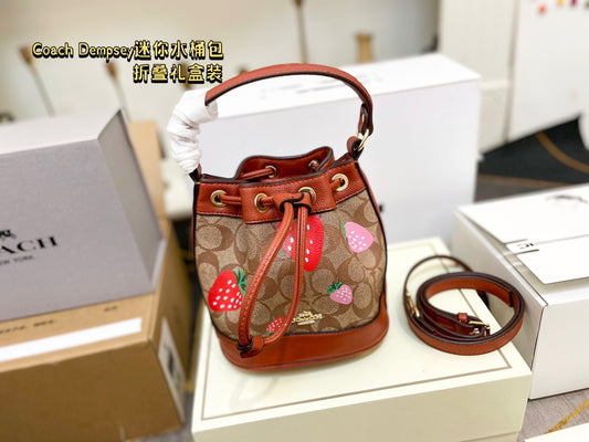 Co-BAG387-2