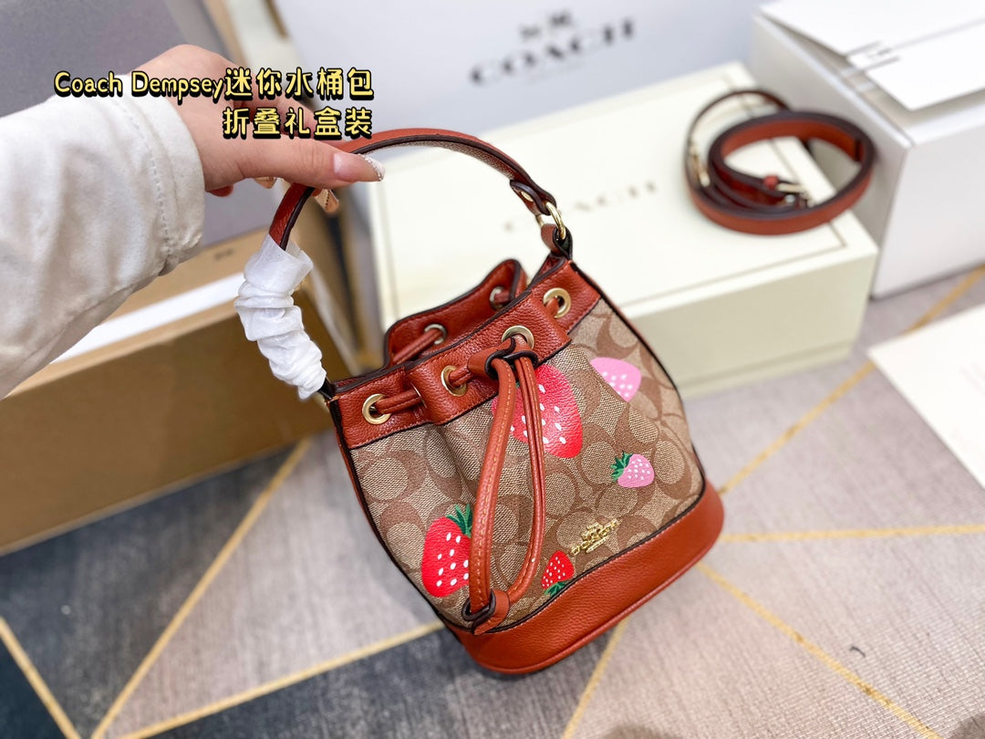 Co-BAG387-2