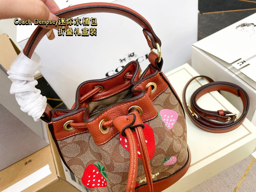 Co-BAG387-2