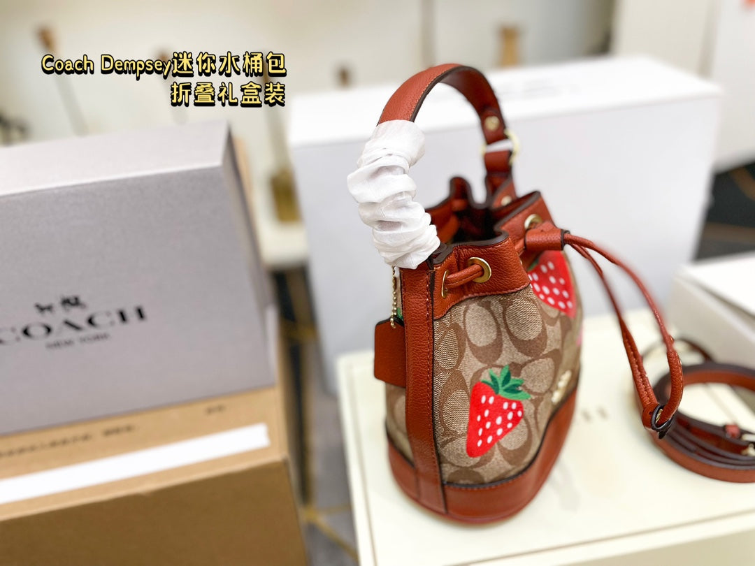 Co-BAG387-2
