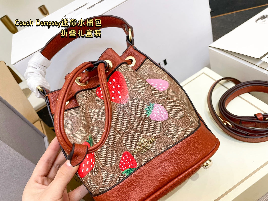 Co-BAG387-2