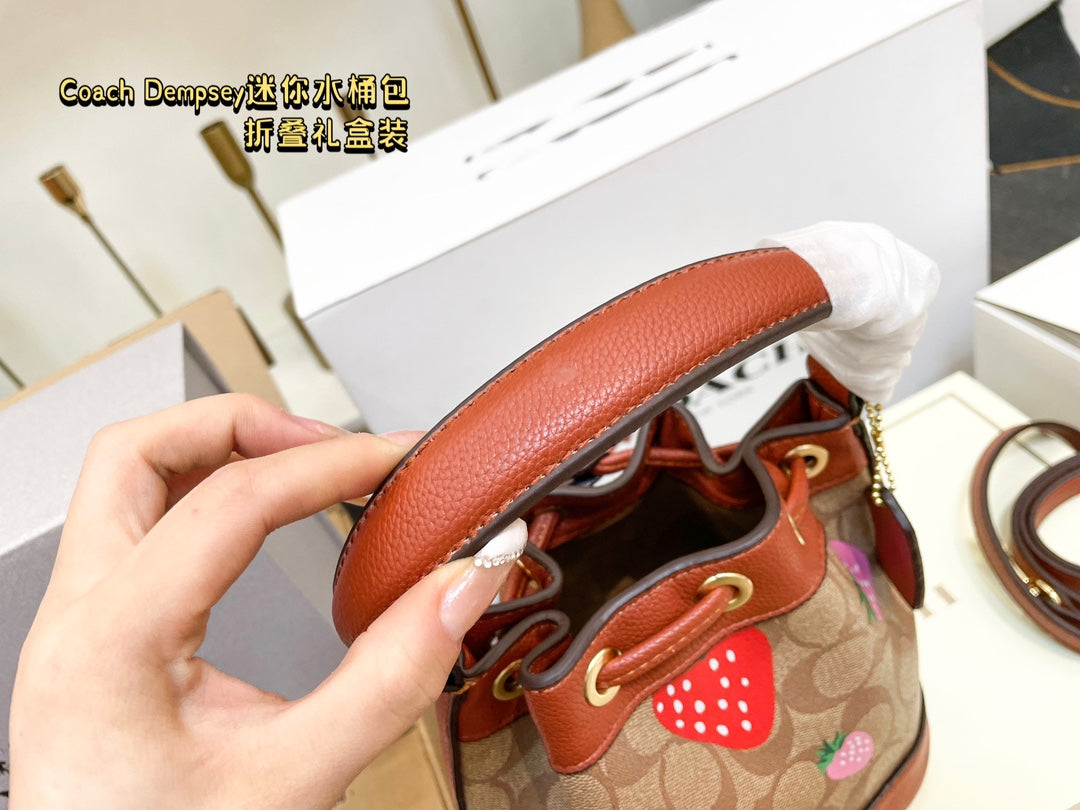 Co-BAG387-2