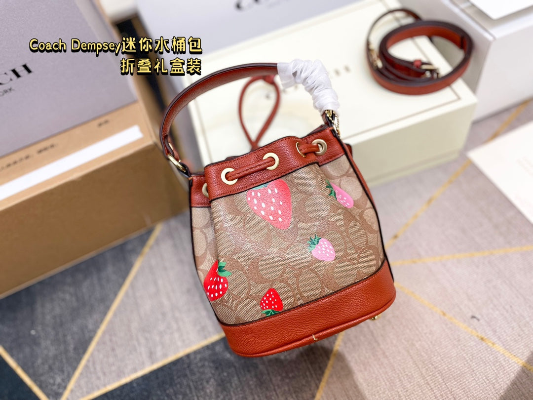 Co-BAG387-2