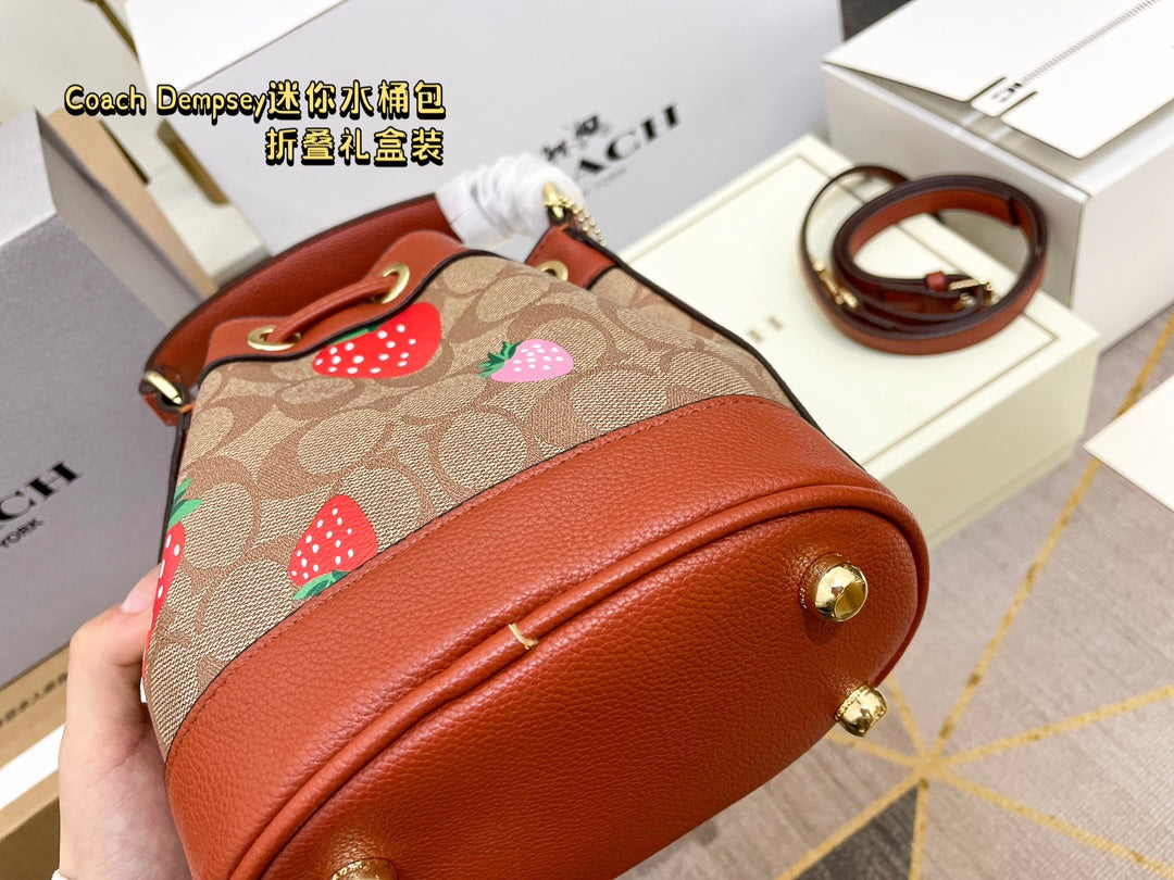 Co-BAG387-2