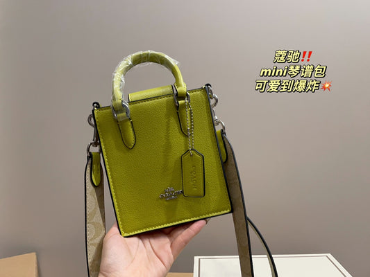 Co-BAG389