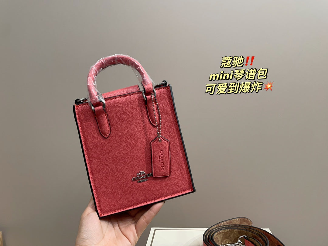 Co-BAG389