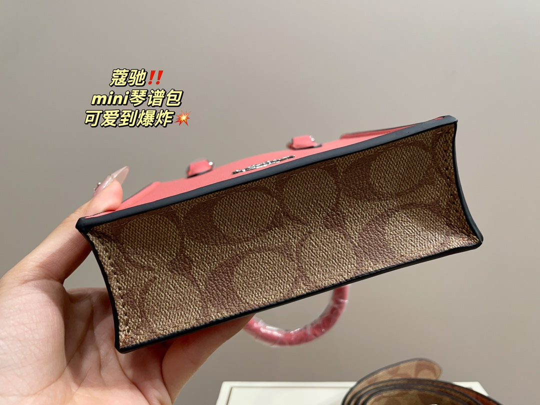 Co-BAG389