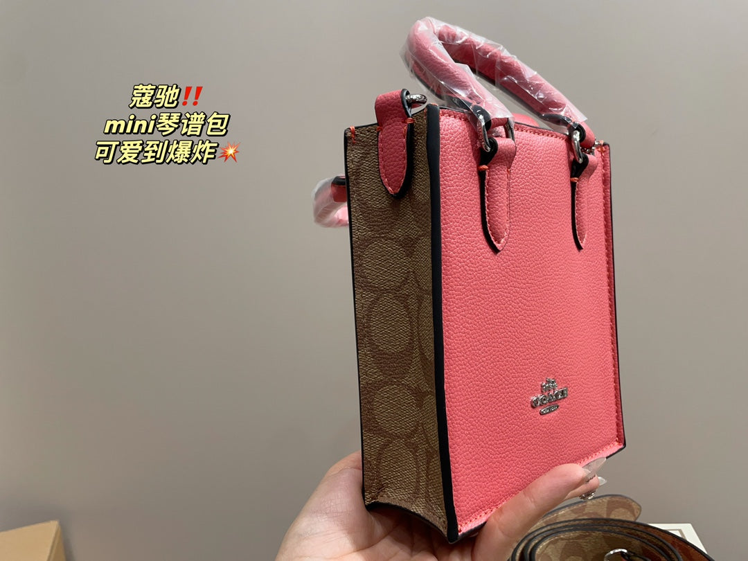 Co-BAG389