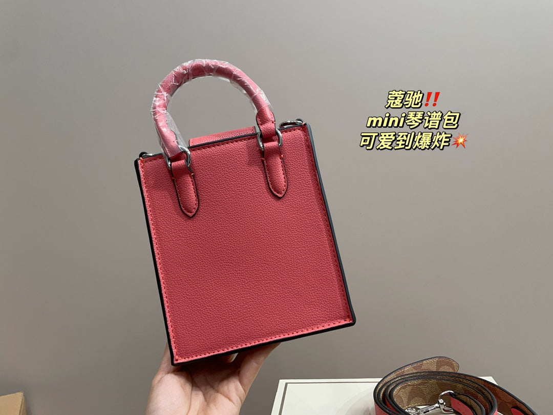 Co-BAG389