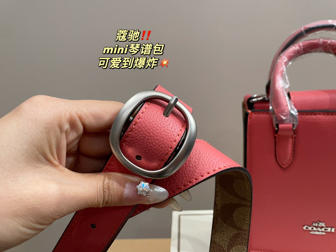 Co-BAG389