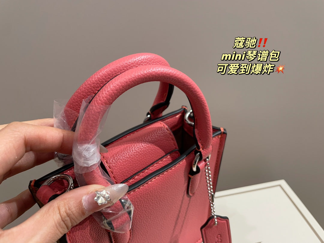 Co-BAG389