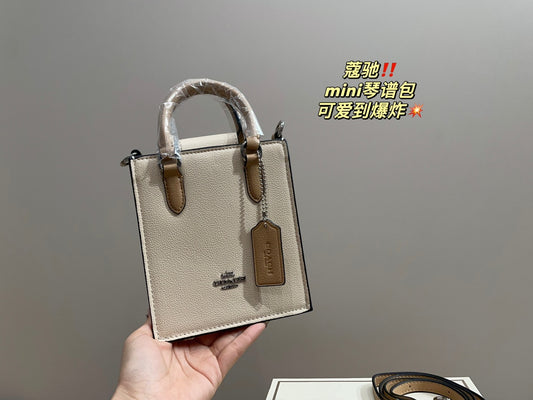 Co-BAG389-2