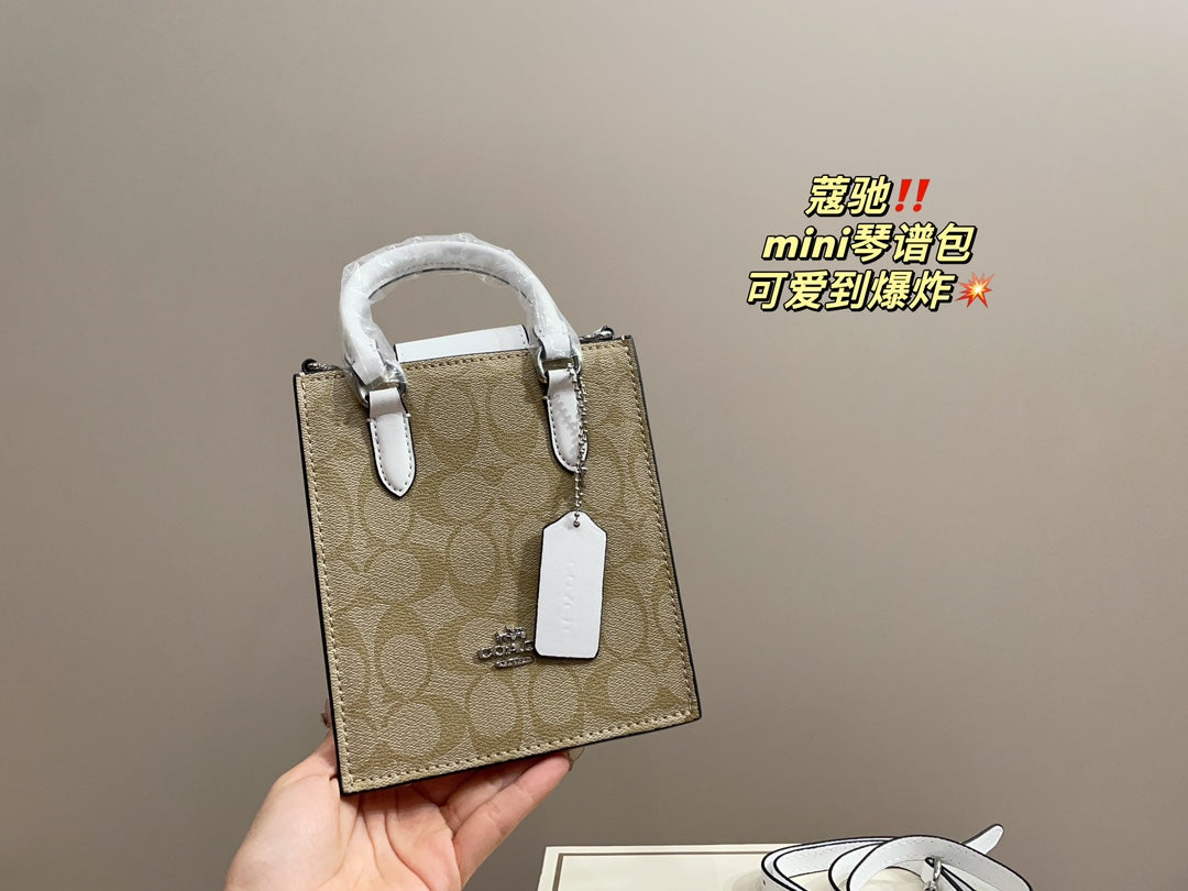 Co-BAG389-2