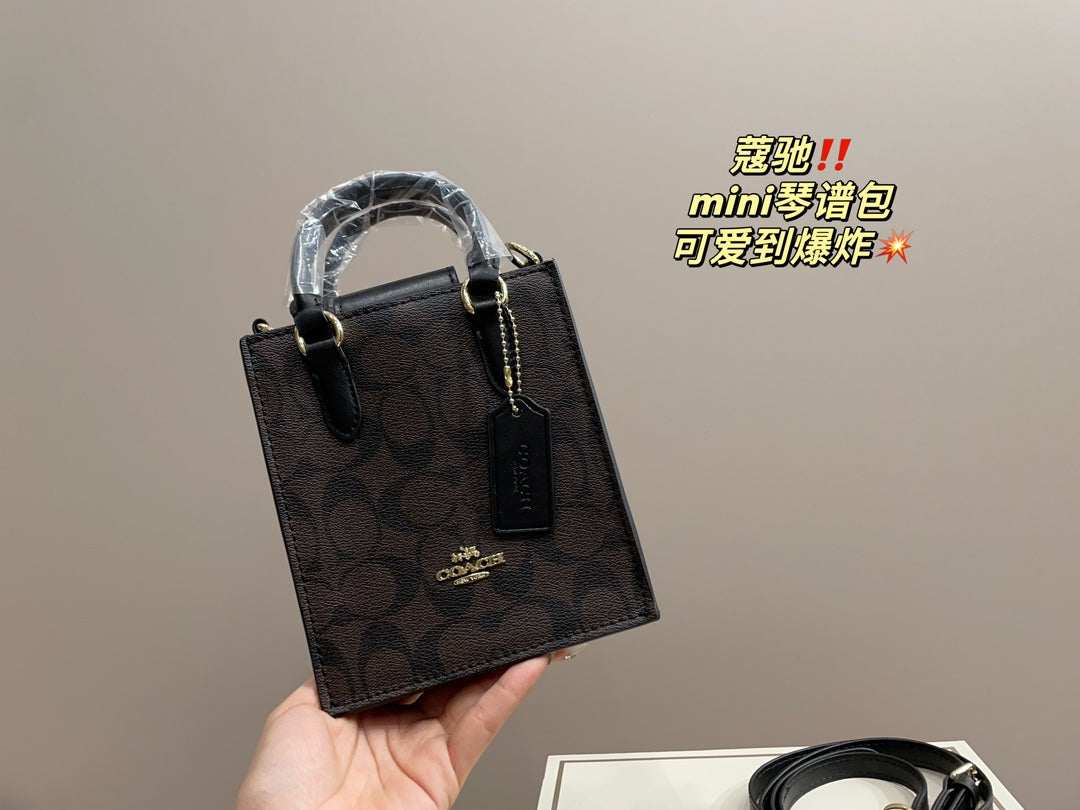 Co-BAG389-2
