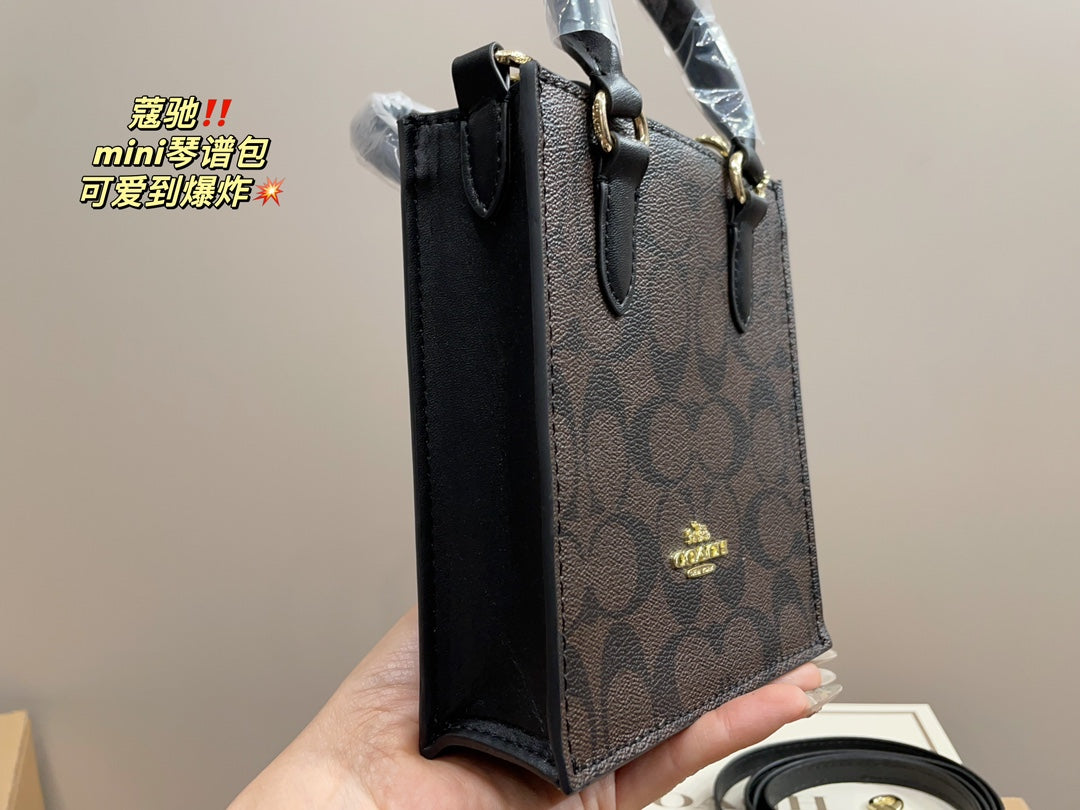 Co-BAG389-2
