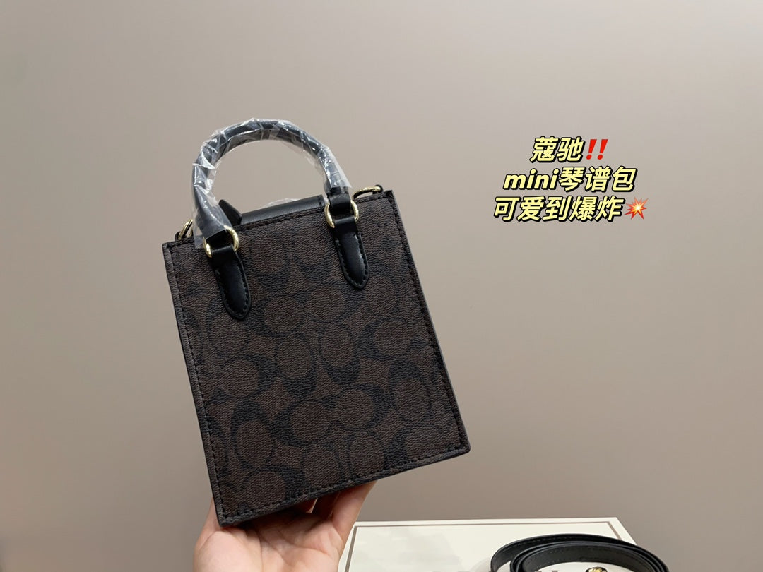 Co-BAG389-2