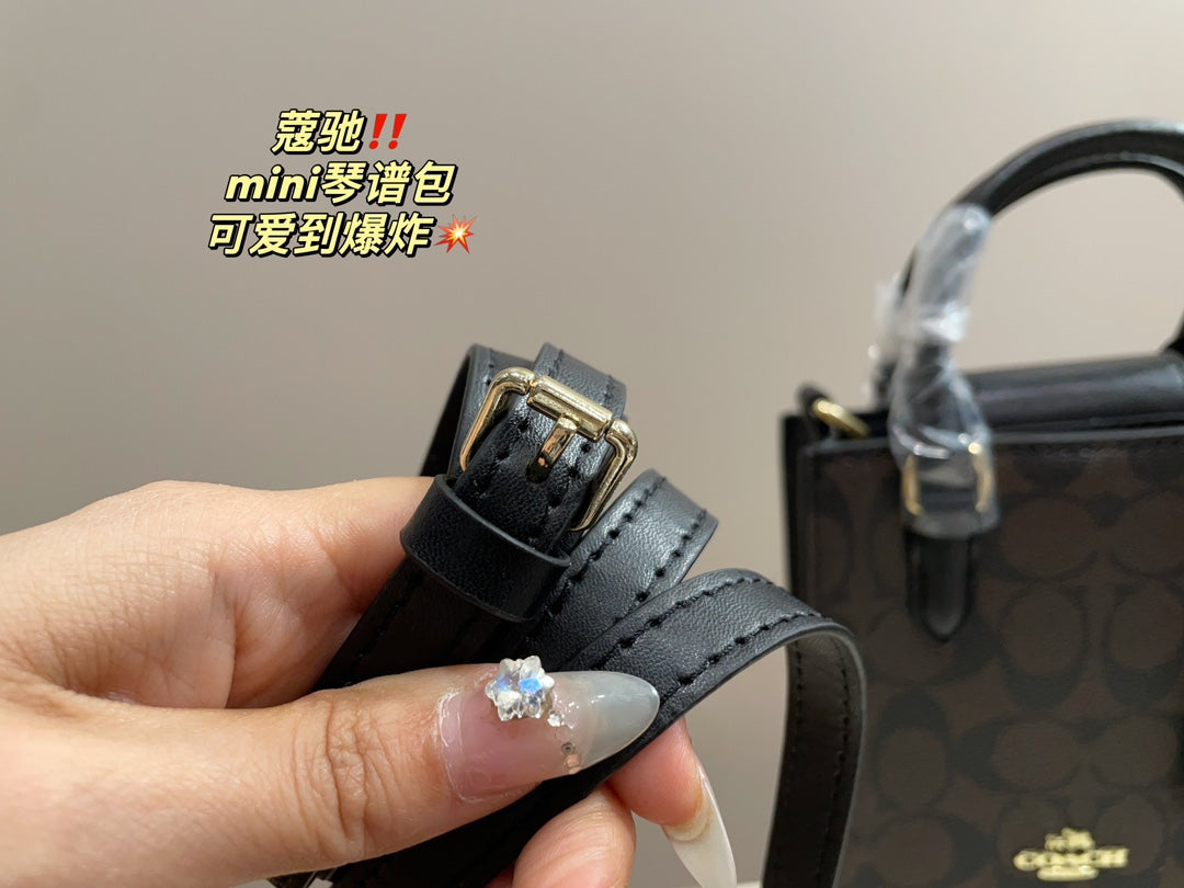 Co-BAG389-2