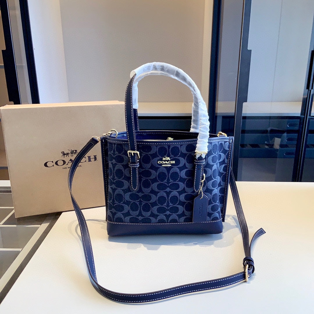 Co-BAG391-2