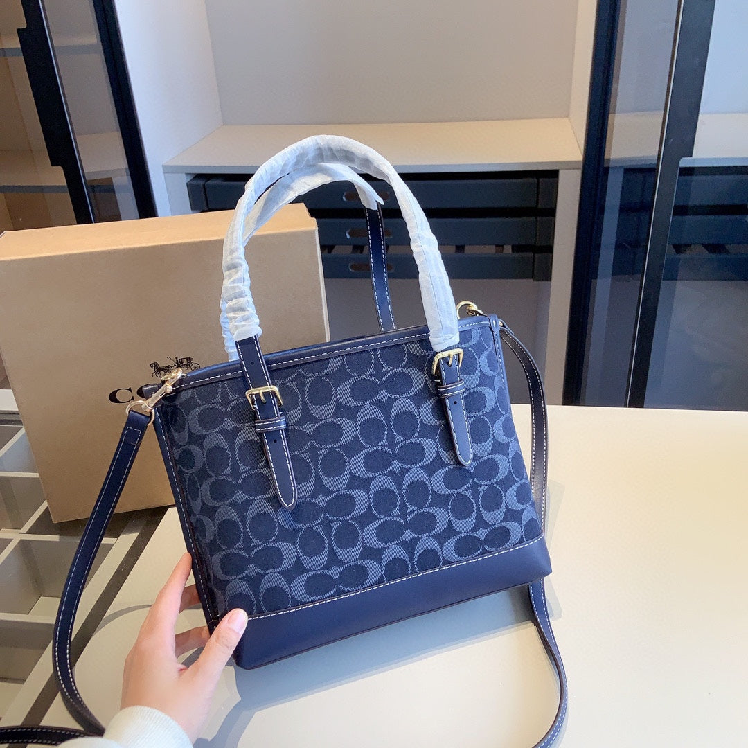 Co-BAG391-2
