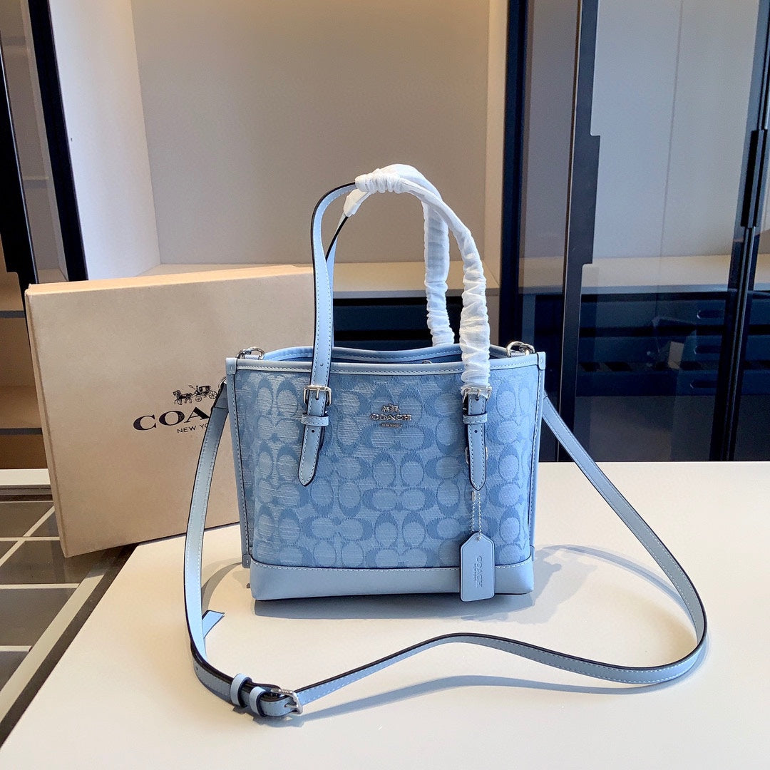 Co-BAG391-2
