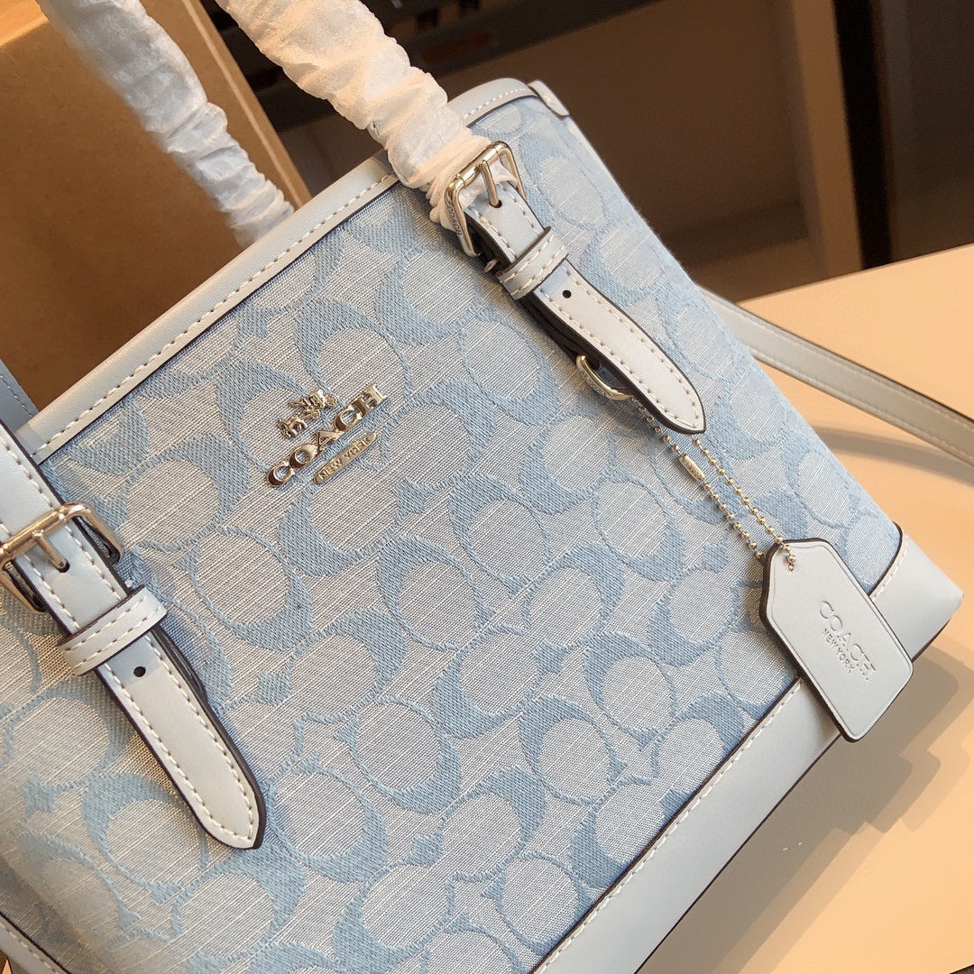 Co-BAG391-2