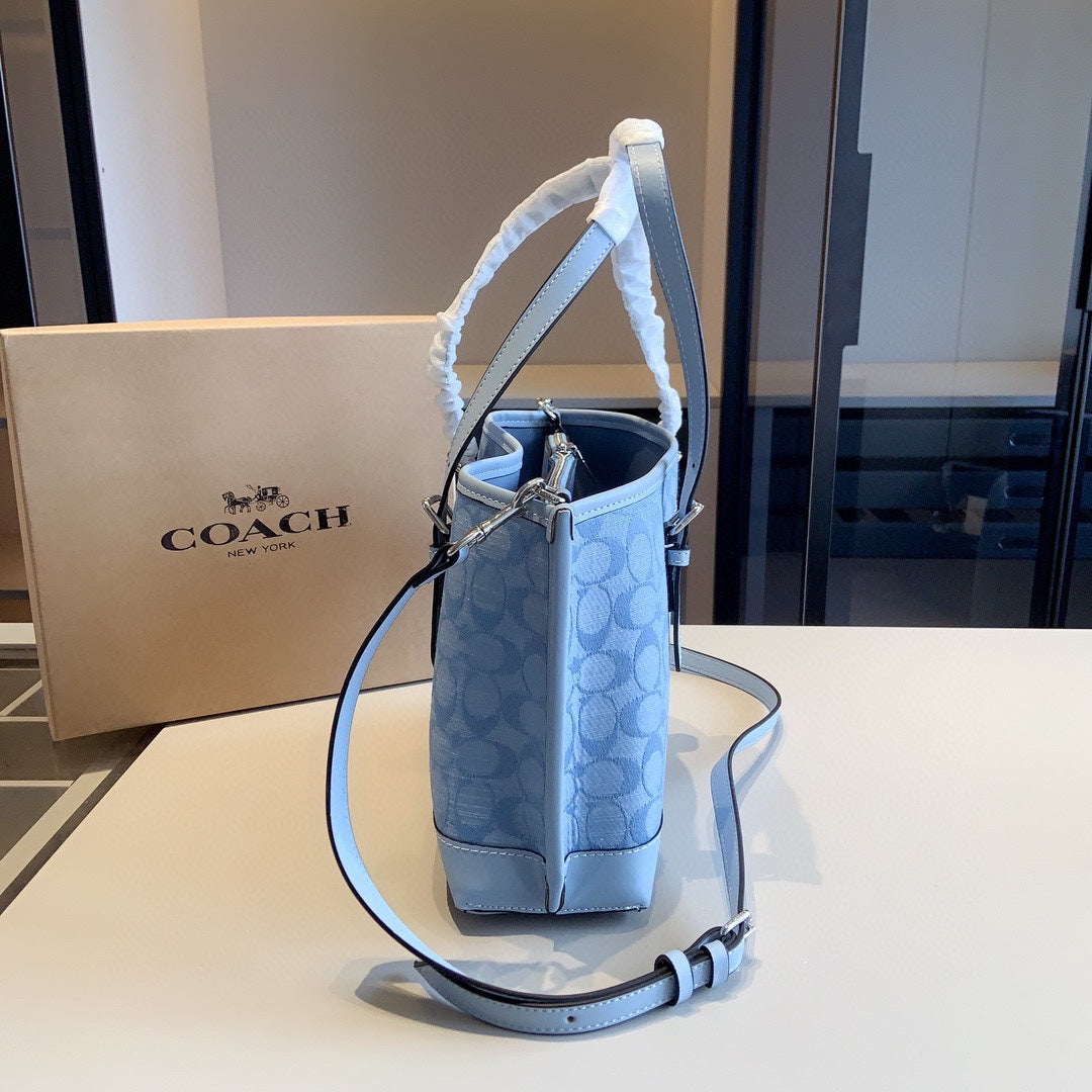 Co-BAG391-2