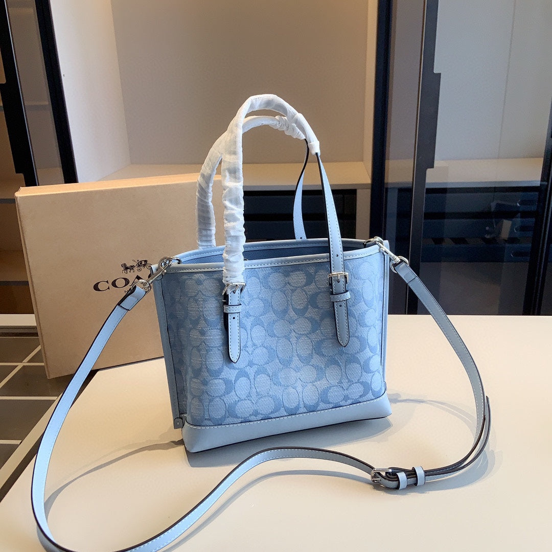 Co-BAG391-2