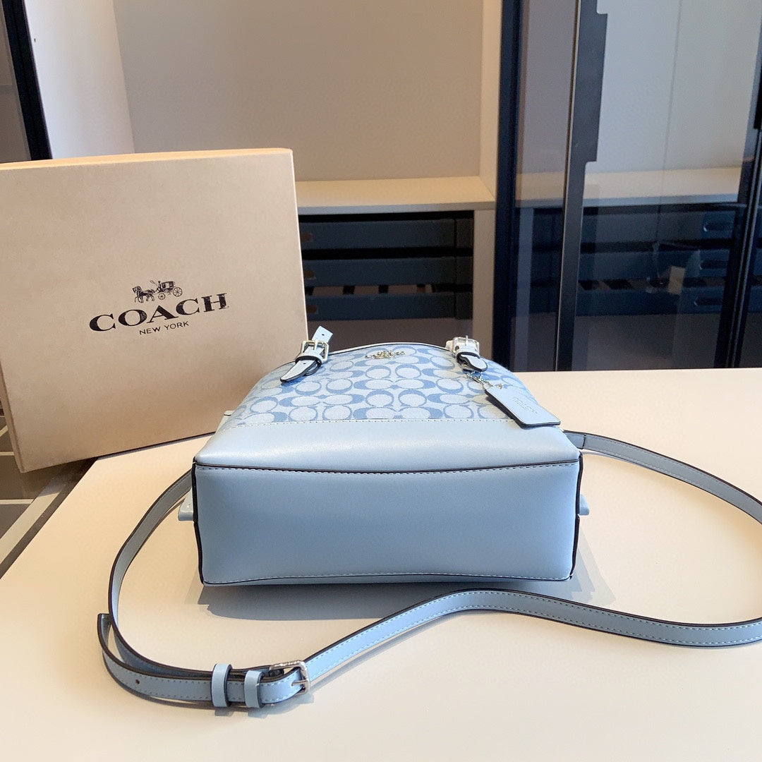 Co-BAG391-2
