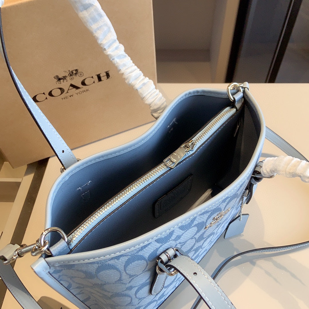 Co-BAG391-2